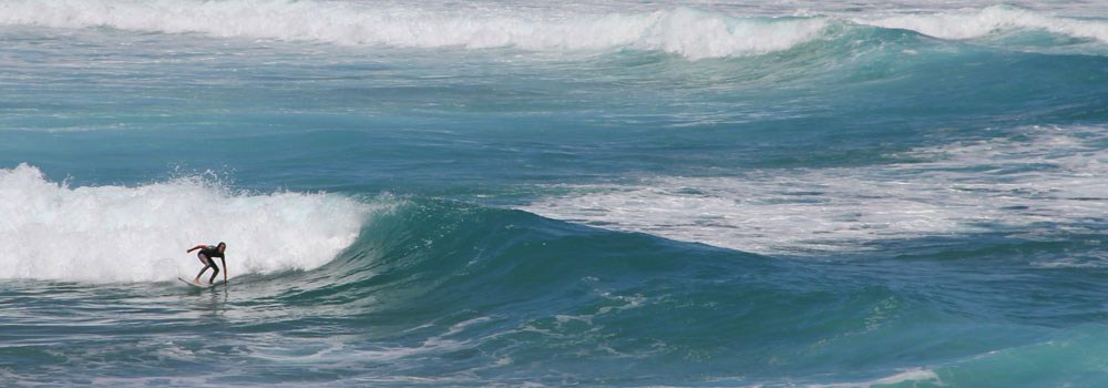 Surfer